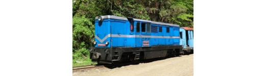 BEMO 1020902 - H0e - Diesellok CFF L45H, Wassertalbahn, Ep. VI
